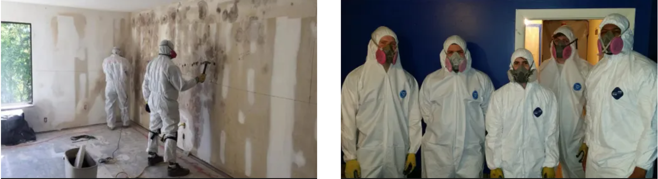 Pro Mold Cleanup Roseville Offers Expert Mold Remediation Services in Roseville, CA